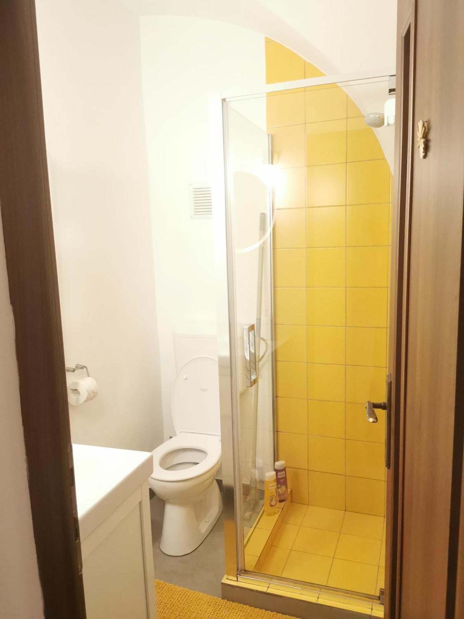 Smb Studio Poarta Schei براشوف المظهر الخارجي الصورة